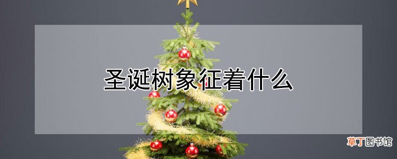 【树】圣诞树象征着什么
