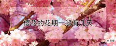 【花】樱花的花期一般有几天