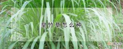 【花卉大全】皇竹草怎么种
