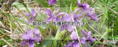 【花】紫花地丁传播种子的方法