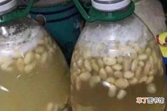 【发酵】黄豆水发酵多久就可以浇花了