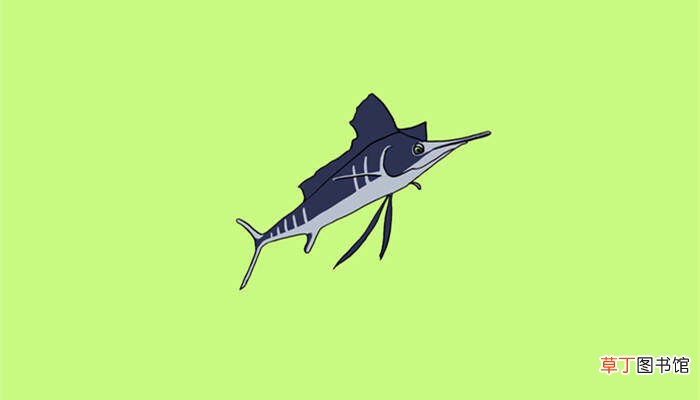 【花卉大全】游得最快的鱼类是什么