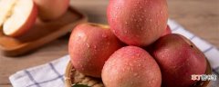 【品种】新2001苹果品种介绍条纹红