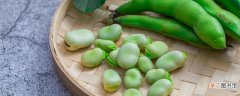 【方法】南方蚕豆种植时间和方法