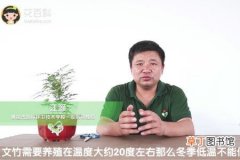 【养殖】云竹的养殖方法