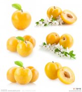 【杏子】杏子图片水果图片有哪些？