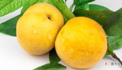 【营养】黄桃的营养价值有哪些 黄桃有什么营养价值