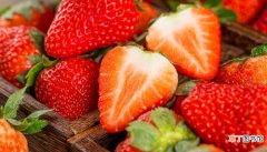 【季节】草莓是什么季节的水果 草莓主要在哪个季节吃