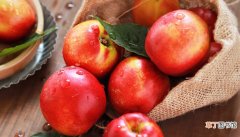 【水果】桃子属于什么类水果 桃子的品种是什么