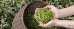 【种类】绿茶的种类 绿茶的种类有哪些