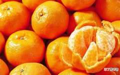 【橘子】芦柑图片橘子有哪些？