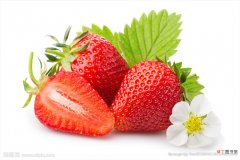 【图片】大草莓图片有哪些？