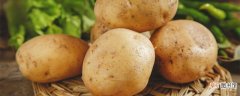 【种植】土豆怎么种植 土豆怎么种植呢