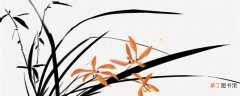 【花】香水兰开完花怎么办 香水兰是什么根