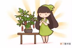 【植物】30种植物的风水意义，养花人必看