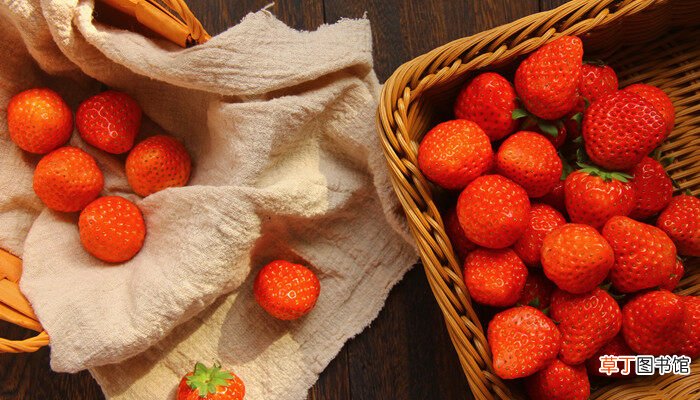 【种子】草莓种子多久发芽 草莓种子多长时间出芽