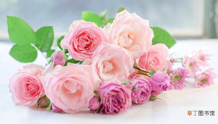 【玫瑰花】玫瑰花的数量代表什么意思 玫瑰花的数量代表什么意思呢