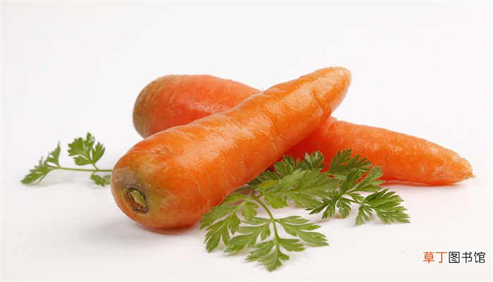 【繁殖】胡萝卜是用什么繁殖的 胡萝卜是通过什么方式繁殖的