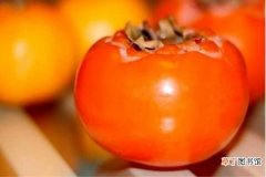 【价值】柿子的价值和食用禁忌