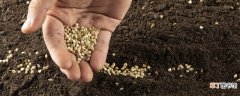 【土壤】腐叶土是酸性还是碱性 腐叶土是酸性土壤吗