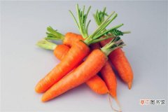 【萝卜】胡萝卜的常见品种