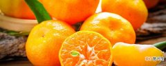 【树】橘子树怎么养 橘子树如何养
