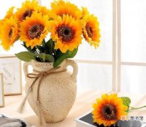 【花】夏天插在花瓶里的向日葵可以放点盐吗