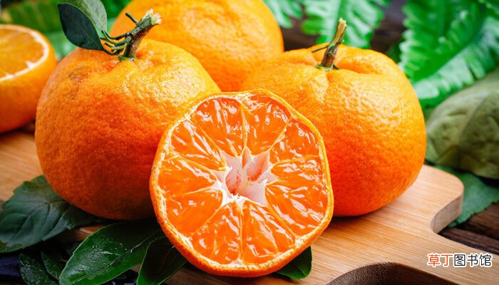【腐烂】柑橘树根腐烂如何补救 柑橘树根腐烂如何补救呢