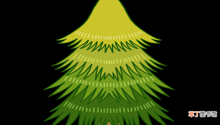 【平安树】送平安树代表什么意思 送平安树代表什么