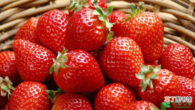 【营养】草莓的营养功效有哪些？