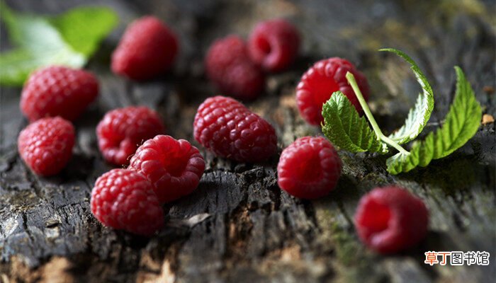 【覆盆子】树莓和覆盆子的区别 树莓与覆盆子是同一种植物吗