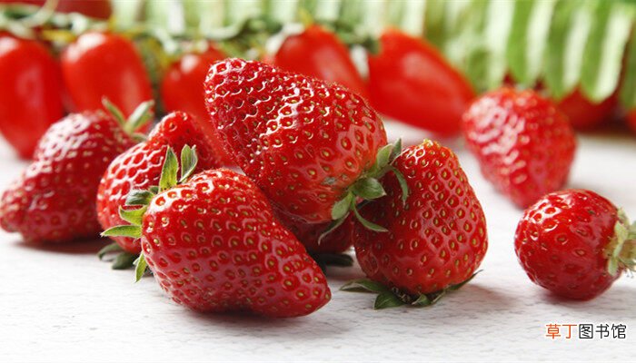 【浇水】草莓浇水的正确方法 草莓应该如何浇水