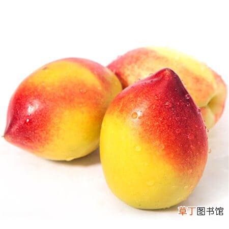 【桃】盆栽油桃怎么种