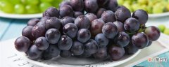 【葡萄】黑加仑和葡萄的区别 黑加仑和葡萄的区别有哪些
