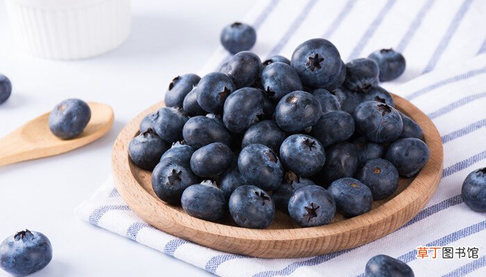 【品种】黑珍珠蓝莓品种介绍 黑珍珠蓝莓的品种介绍