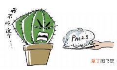 不要被骗了 【植物】雾霾天气养什么植物