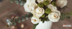 【花语】白玫瑰的花语是什么 白玫瑰的寓意