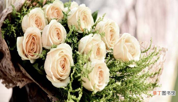 【花语】白玫瑰的花语是什么 白玫瑰的寓意