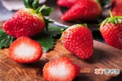 【季节】草莓季节是几月份，草莓季节是2～3月份