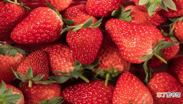 【冬天】草莓冬天12月可以种吗 草莓12月份可以种吗