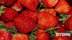 【种植】草莓的种植方法，草莓种子种植方法