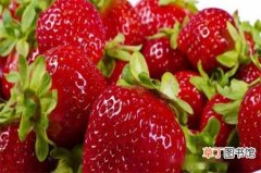 【月份】草莓上市时间，草莓上市的时间是2～3月份