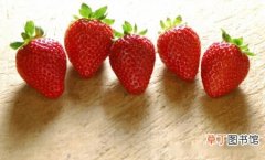 【草莓】草莓什么时候种，一年四季都可以栽种
