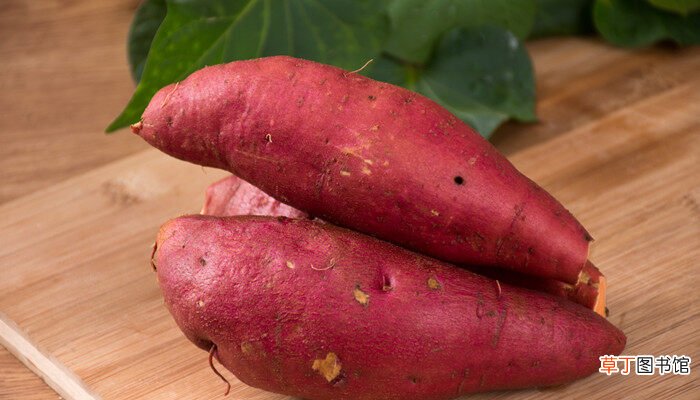 【红薯】西瓜红红薯的生长特性 西瓜红红薯有哪些生长特性