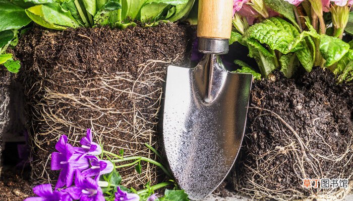 【花卉大全】如何综合和高效利用各种园艺设施 设施园艺的应用