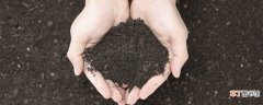 【区别】泥炭土和腐叶土有什么区别 泥炭土和腐叶土到底有什么区别