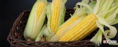 【品种】纪元128玉米品种介绍 纪元128玉米品种的介绍