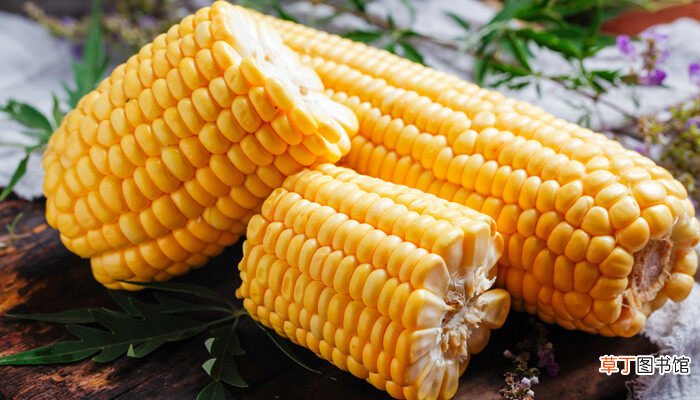 【品种】强育H712玉米品种介绍 强育H712玉米品种的介绍
