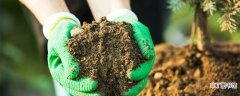 【生长】埋在土里的烟头会影响植物生长吗 烟头对土壤有害吗