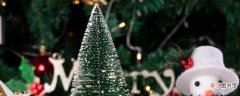 【圣诞树】圣诞树的组成结构 圣诞树的组成结构是什么样的